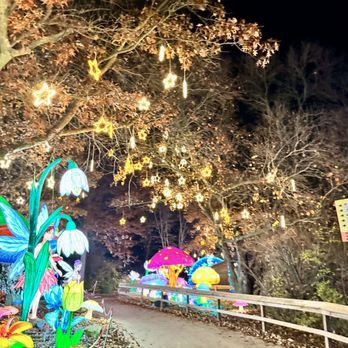 Glo Wild - Festivals Near Me - Kansas City, Missouri
