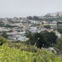 Photo of Miraloma Park