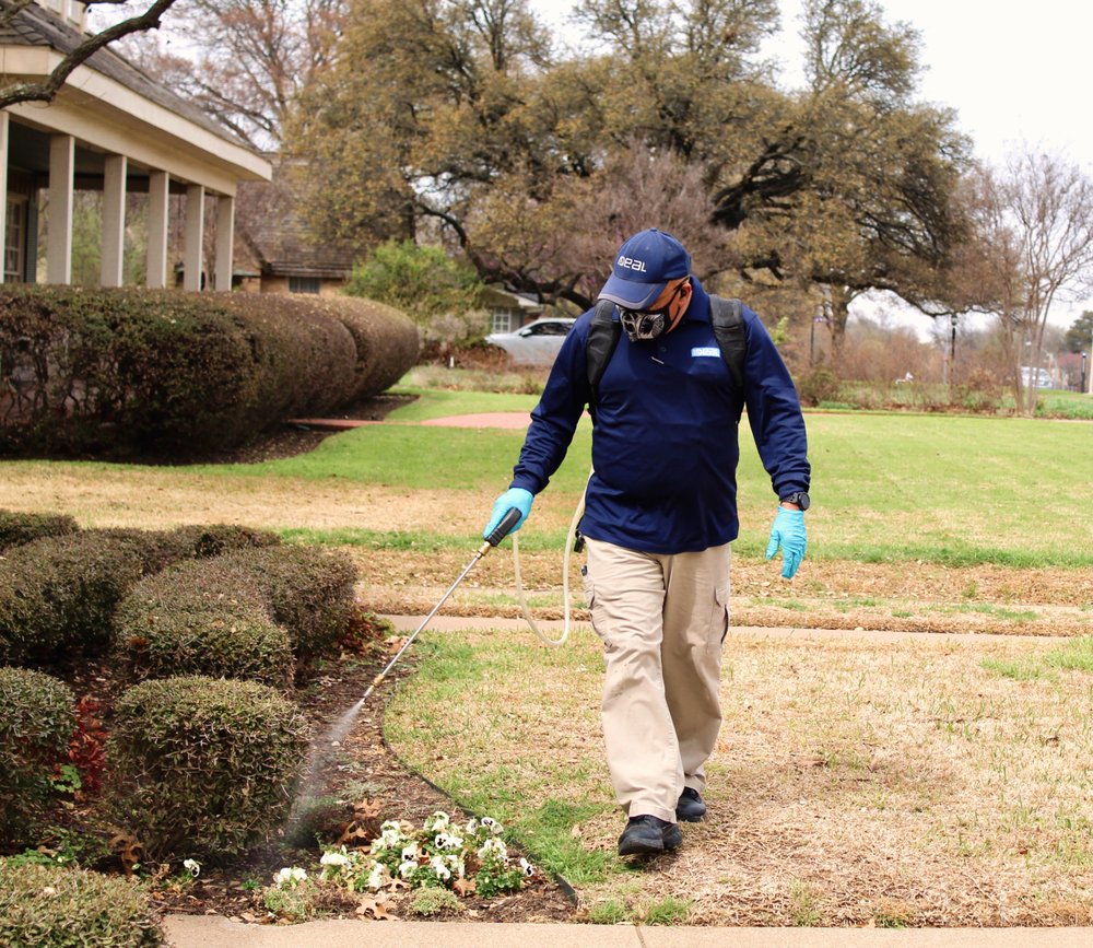 Slide of Ideal Partners