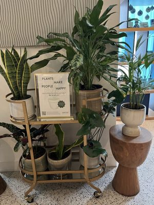 Kimpton De Witt Hotel by null