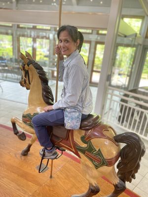 Coolidge Carousel by null