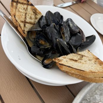 The Reef - Old Captain Mussels - Seafood Near Me - Newport, Rhode Island The Reef - Old Captain Mussels - Seafood Near Me - Newport, Rhode Island