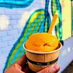 Gioia Cafe & Bar - Mango sorbet