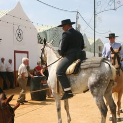 Feria de Tarifa