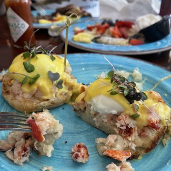 Clear Sky Cafe - Lobster Brie Bennie - New American Near Me - Clearwater, Florida
