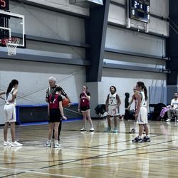 The Palestra