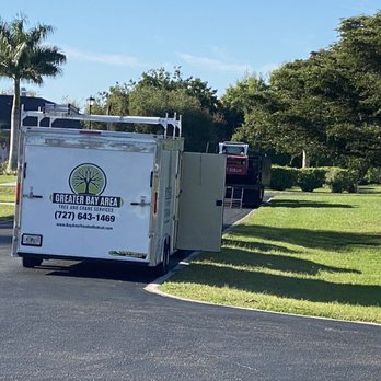 Greater Bay Area Tree & Arborist Services - Tree Services Near Me - Seminole, Florida Greater Bay Area Tree & Arborist Services - Tree Services Near Me - Seminole, Florida
