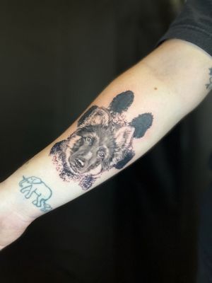 Musume Ink Photos