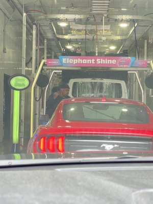 Elephant Car Wash by null