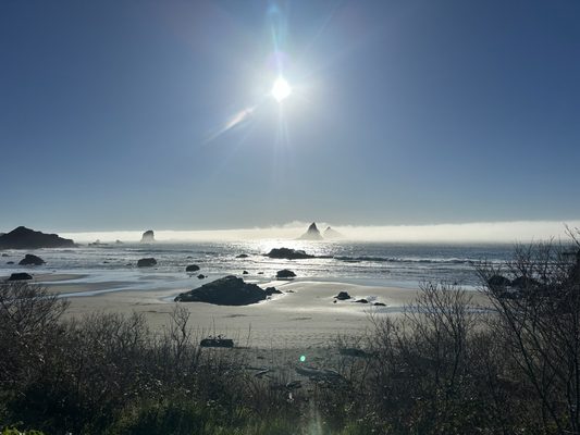 Samuel H. Boardman State Scenic Corridor by null