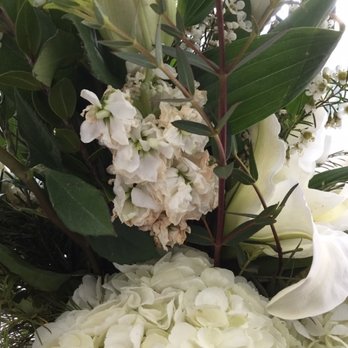 Rose Shack Florist - Florists Near Me - Las Vegas, Nevada Rose Shack Florist - Florists Near Me - Las Vegas, Nevada
