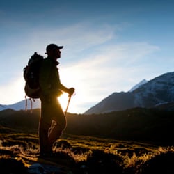 Goodwin Travel Protection