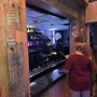 Photo of The Real Unreal - Meow Wolf