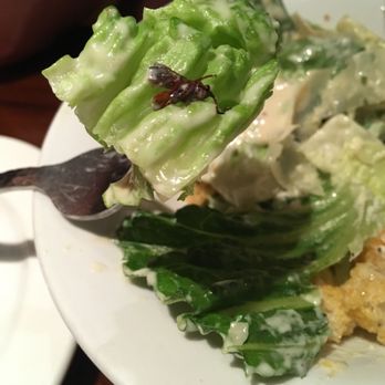 LongHorn Steakhouse - Nothing like wasp salad... not on the menu, but if they are careless you may get an opportunity to try it. - Steakhouses Near Me - Avon, Indiana LongHorn Steakhouse - Nothing like wasp salad... not on the menu, but if they are careless you may get an opportunity to try it. - Steakhouses Near Me - Avon, Indiana