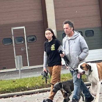 Harold Hamilton - Master Dog Trainer - Harold's group training class working individually with a trainer. - Pet Training Near Me