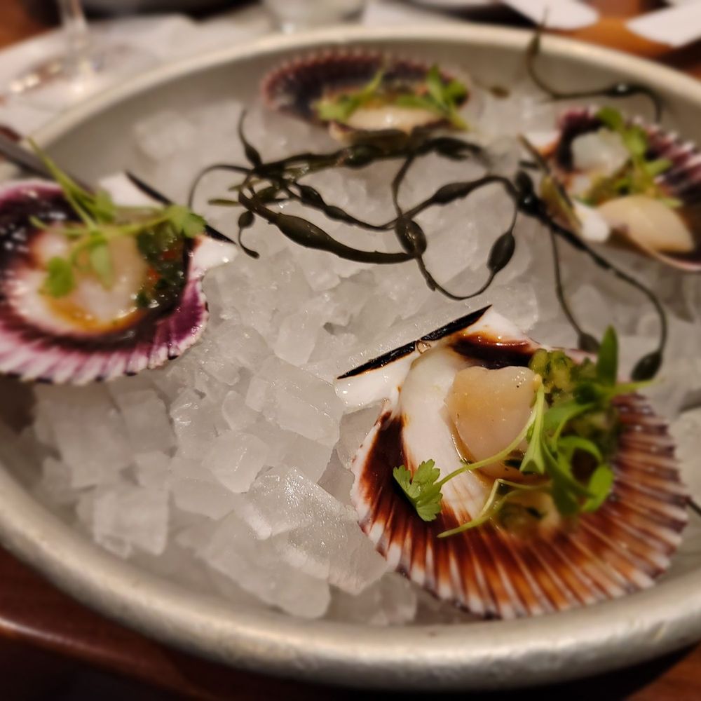 FishBar - Scallops - Seafood Near Me - Manhattan Beach, California FishBar - Scallops - Seafood Near Me - Manhattan Beach, California