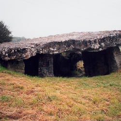Tinkinswood Burial Chamber - Tinkinswood Burial Chamber, South Wales