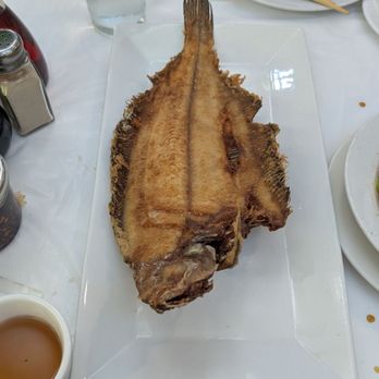Ocean Palace - Whole fish again - Dim Sum Near Me - Houston, Texas Ocean Palace - Whole fish again - Dim Sum Near Me - Houston, Texas