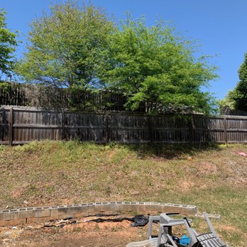 Take 'Em Down Tree Experts - Before - Tree Services Near Me Take 'Em Down Tree Experts - Before - Tree Services Near Me