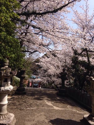 Atago Shrine by null