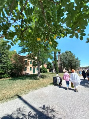 Torcello by null