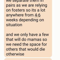 Actual text messages from the foster Actual text messages from the foster