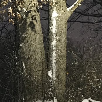 Theodore Wirth Golf Course - Stunning night surprises of beauty - Golf Near Me - Minneapolis, Minnesota Theodore Wirth Golf Course - Stunning night surprises of beauty - Golf Near Me - Minneapolis, Minnesota