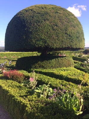 Château de Hautefort by null
