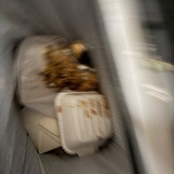 Golden Dragon - Food in the trash