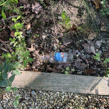 ResortQuest Delaware - More trash and poor land maintenance - Property Management Near Me - Bethany Beach, Delaware
