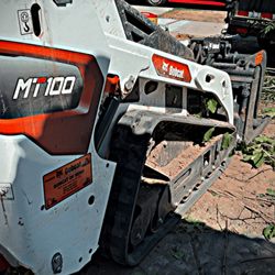 Superior ArborWorks
