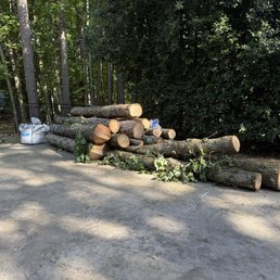 Trees cut to size for transport Trees cut to size for transport