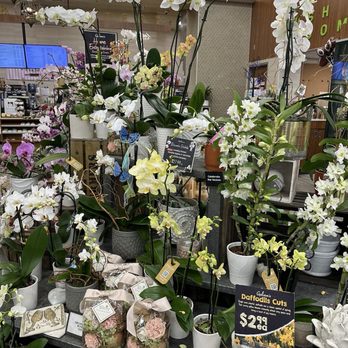 Gelson's Silver Lake - Floral Dept. - Grocery Near Me - Silver Lake, California Gelson's Silver Lake - Floral Dept. - Grocery Near Me - Silver Lake, California