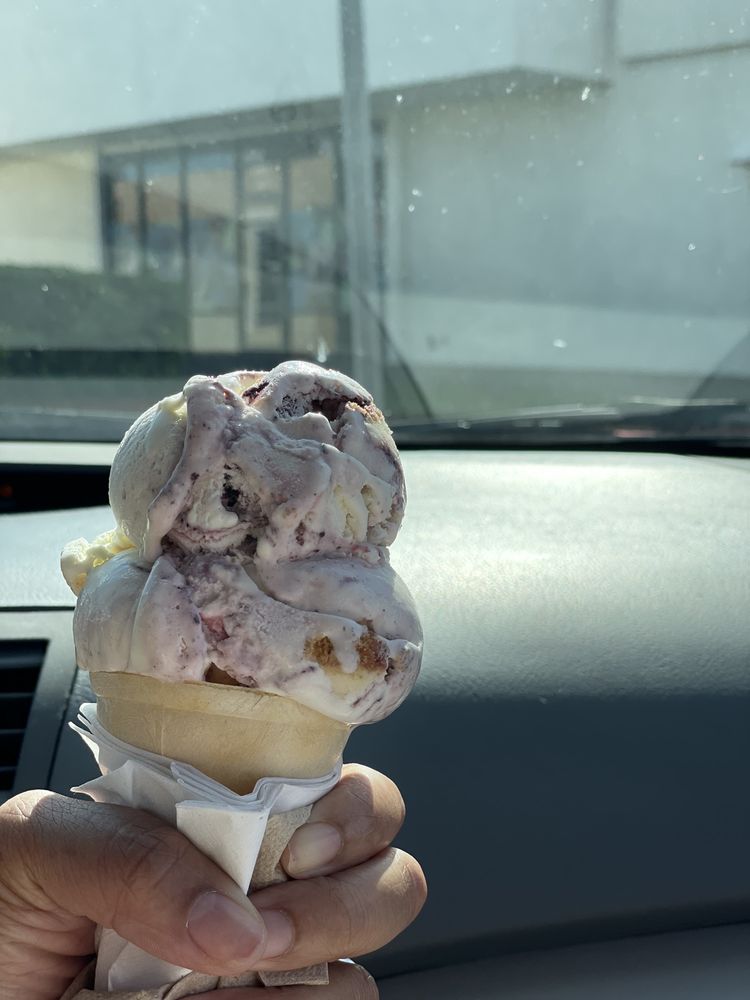 COUNTRY STYLE ICE CREAM 18 Photos & 42 Reviews 1107A Homestead Rd N