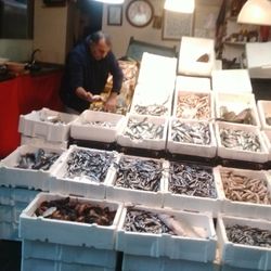 Efe Balıkçılık Hasan'in Yeri - FRESH FISHES