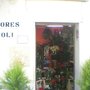 Photo of Yoli