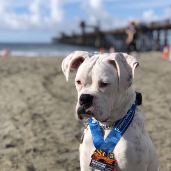 O'Side Turkey Trot - Races & Competitions Near Me - Oceanside, California