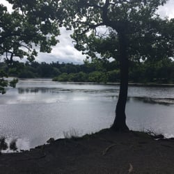 Hillsborough Forest Park