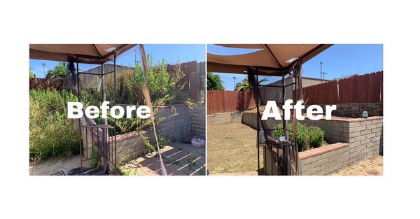 Landscaping Yard Clean ups - Yard clean up projects and tree stump removal