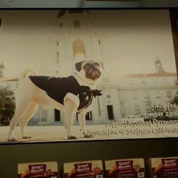 Pet Food Express - Pet Stores Near Me - Pasadena, California Pet Food Express - Pet Stores Near Me - Pasadena, California