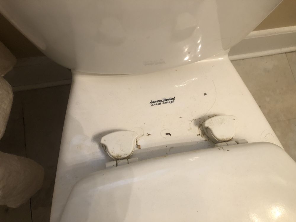 SOUTHERN MANAGEMENT RENTALS Updated July 2024 15 Photos & 24