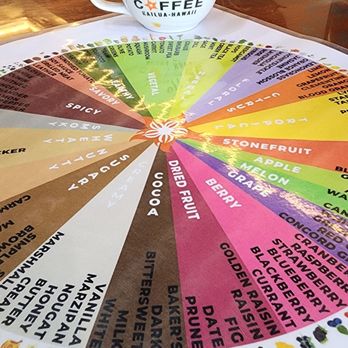 Tradition Coffee Roasters Cafe And Tours - Tasting Wheel - Coffee Roasteries Near Me - Kailua, Hawaii Tradition Coffee Roasters Cafe And Tours - Tasting Wheel - Coffee Roasteries Near Me - Kailua, Hawaii