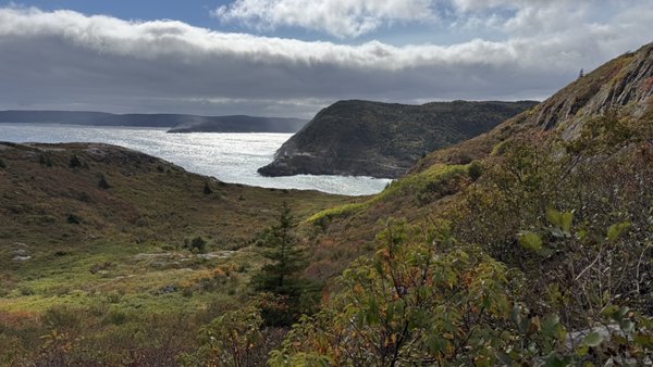 Signal Hill National Historic Site by null
