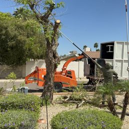 The work begins