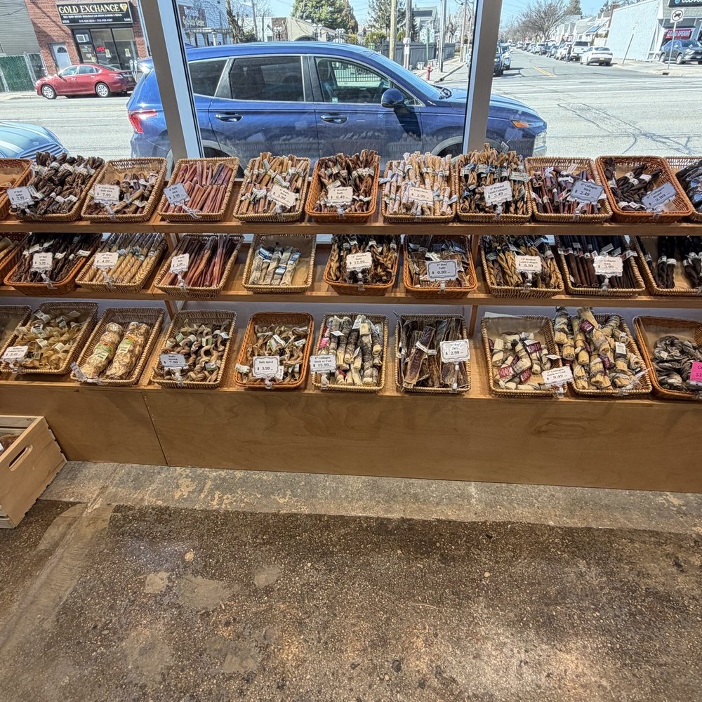 PET STORY - Pet Boarding Near Me - Mineola, New York