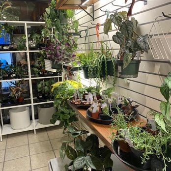 Send Nodes Plant Shop - Nurseries & Gardening Near Me - Poulsbo, Washington