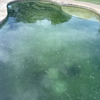 Cain Pool & Spa - How the pool started after July 3rd cleaning. - Pool Cleaners Near Me - Dublin, Texas