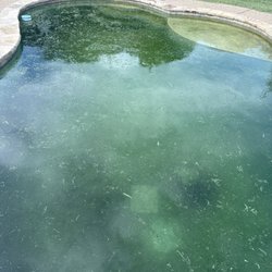 Cain Pool & Spa - How the pool started after July 3rd cleaning.