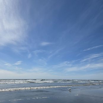 Ocean City State Park - Parks Near Me - Hoquiam, Washington Ocean City State Park - Parks Near Me - Hoquiam, Washington