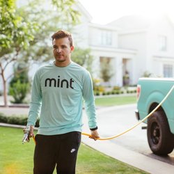 Mint Pest Control - termite control near me